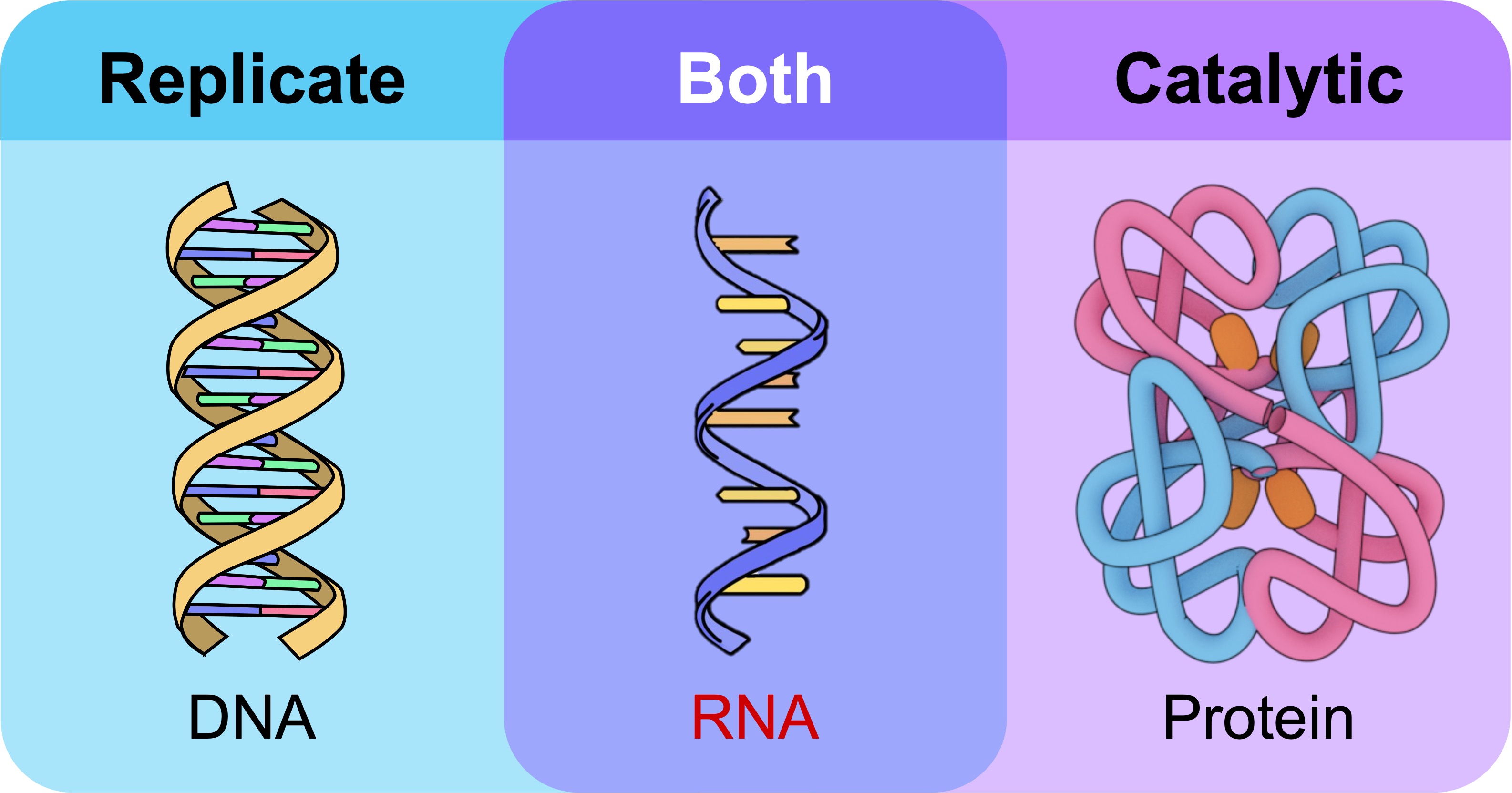 self-replication